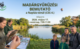 Madárgyűrűzési bemutató a Naplás-tónál (CES4)