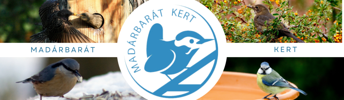 madárbarát kert jelentőlap fejléc