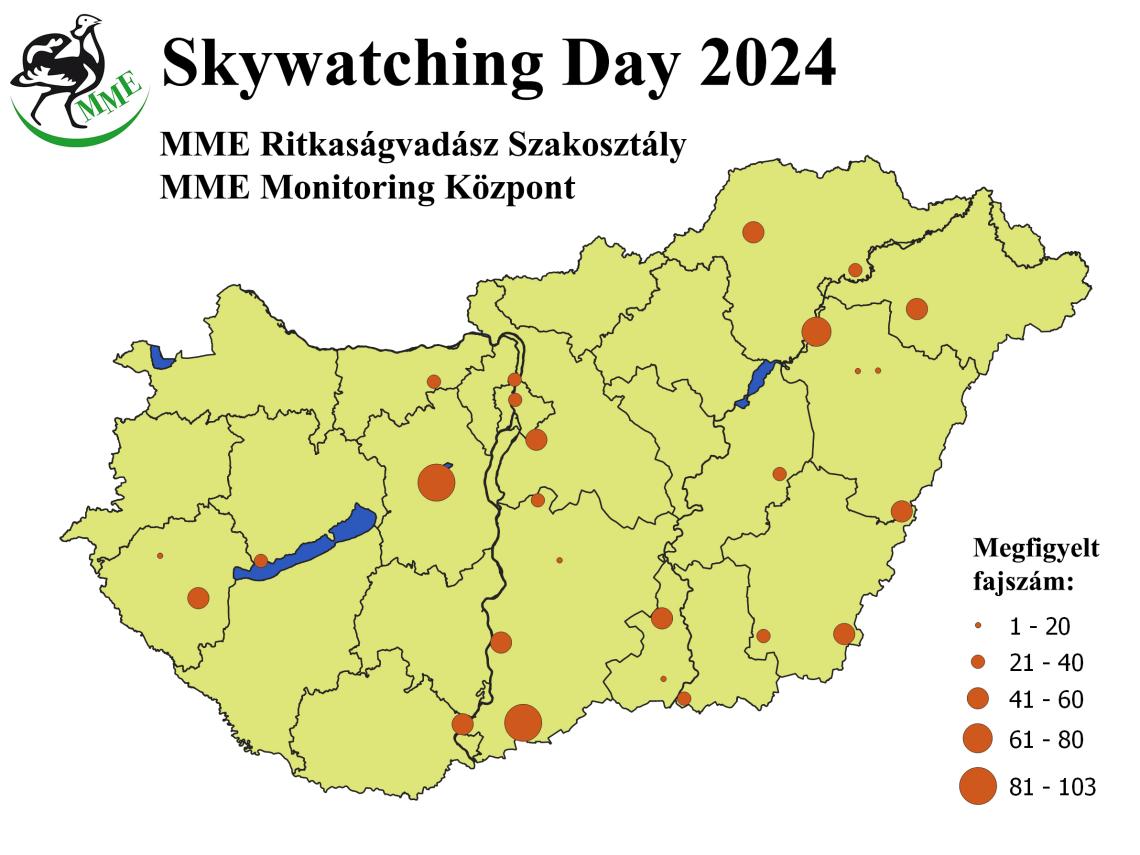 III. skywatching day