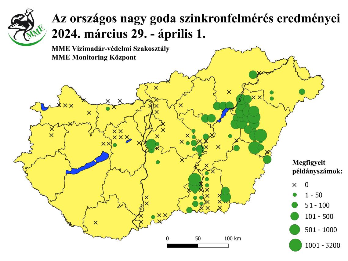 A 2024. évi tavaszi nagy goda szinkronfelmérés eredményei