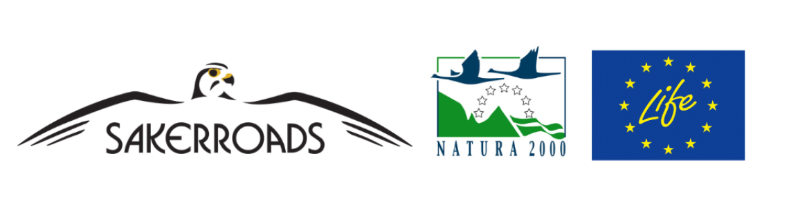 sakerroads projekt logok
