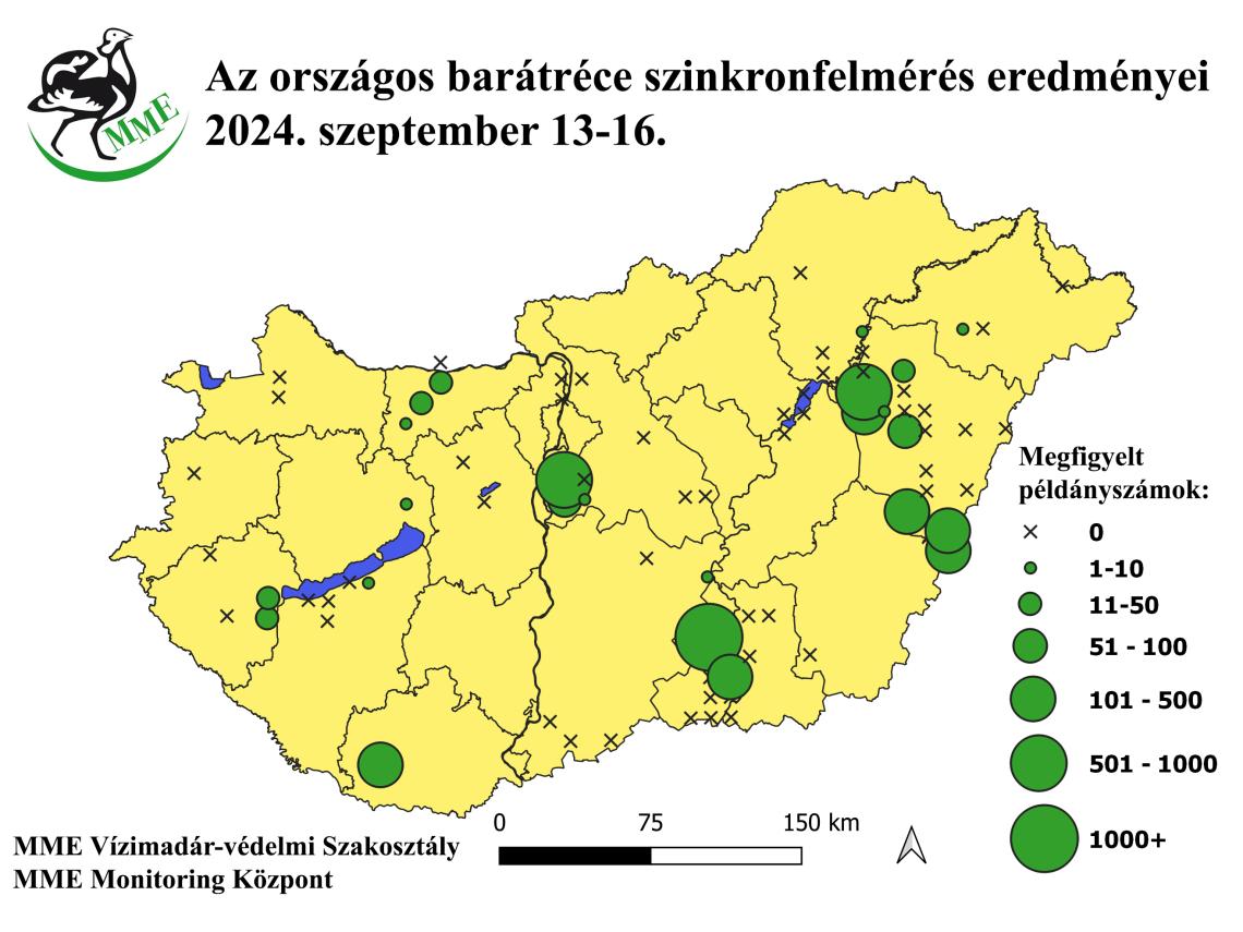 Az országos barátréce szinkronfelmérés eredményei