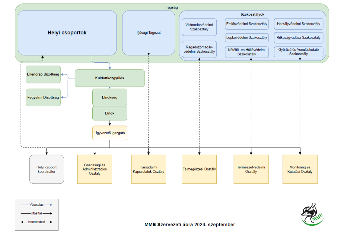 MME szervezeti ábra 2024