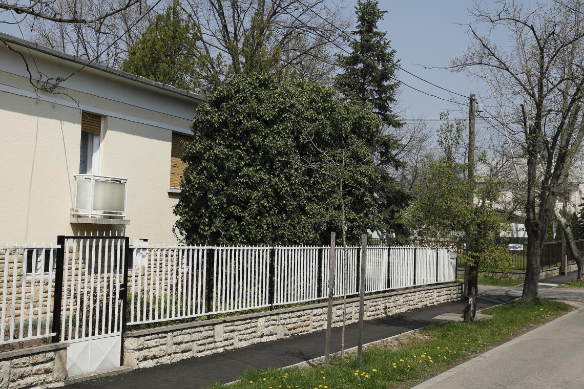 fakivagas_Madarbarat_modon_kertben_Budapest_20130421_Orban_Zoltan_0003.JPG