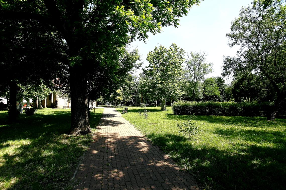park_Budapest-Rakoshegy_20150529_Orban_Zoltan_0002.JPG