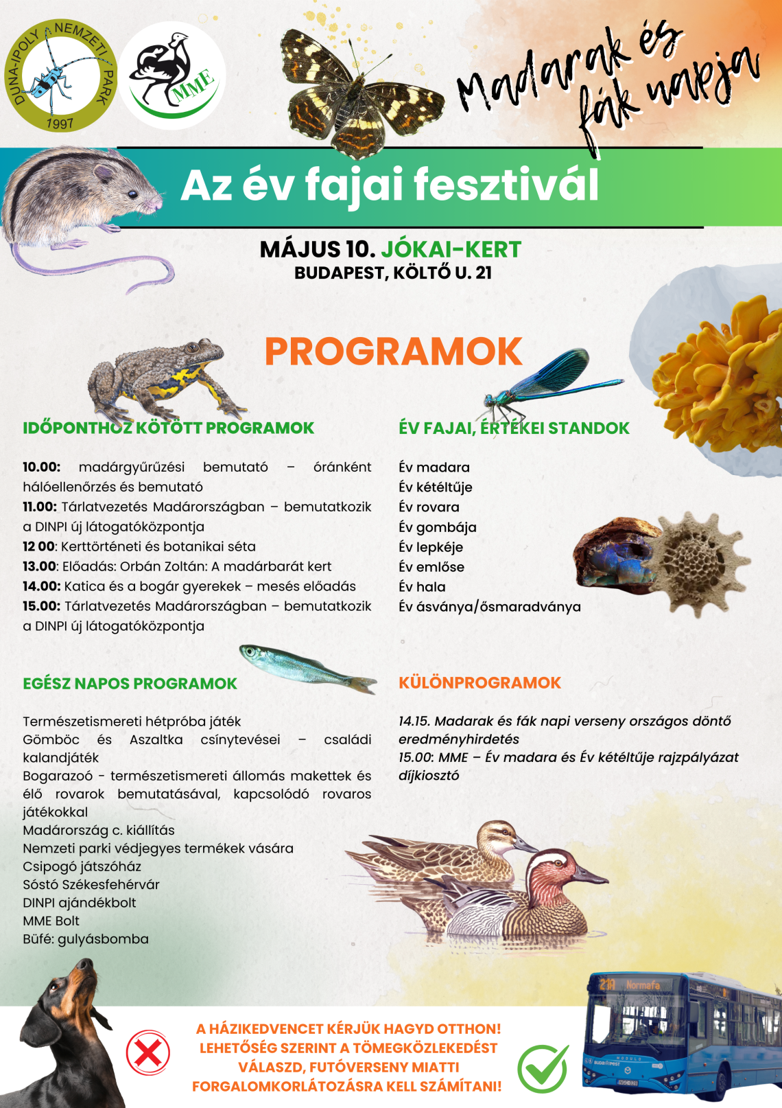Madarak és Fák Napja 2025_javított