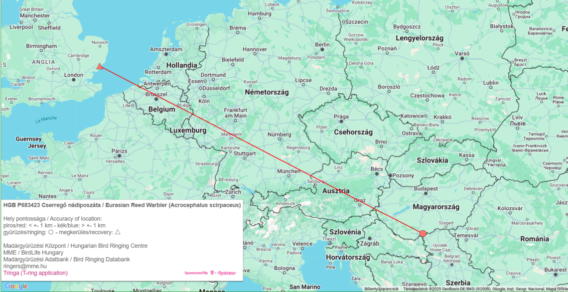 cserrego_nadiposzata_Angliaban_Madargyuruzesi_Kozpont