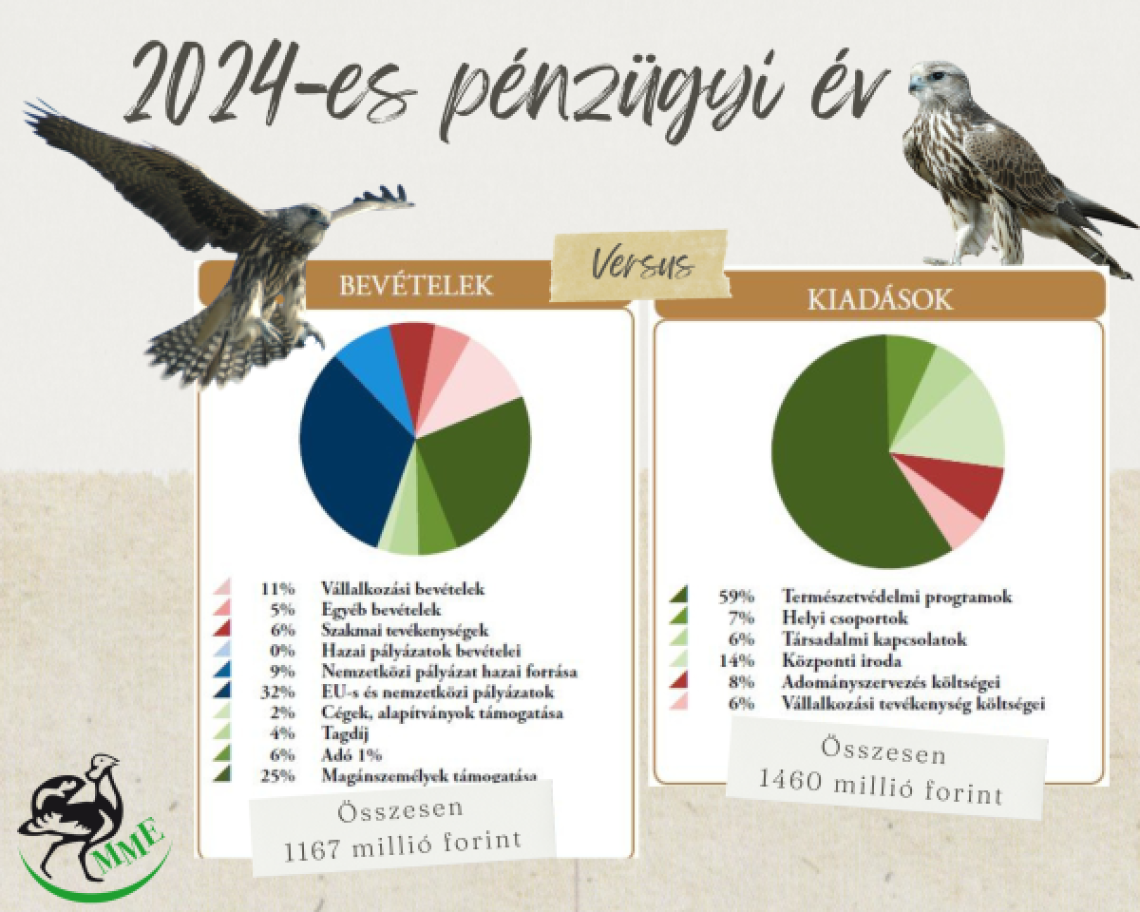 2024 pénzügyi összegzés