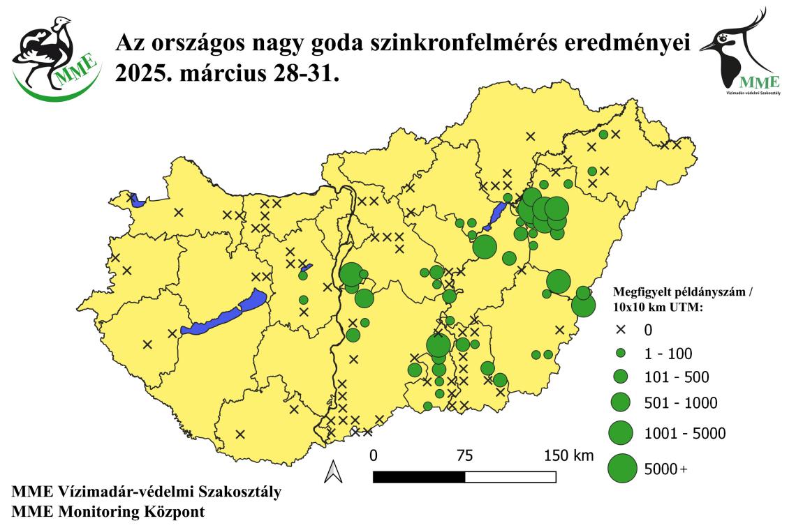 A 2025. évi országos tavaszi nagy goda szinkronfelmérés eredményei