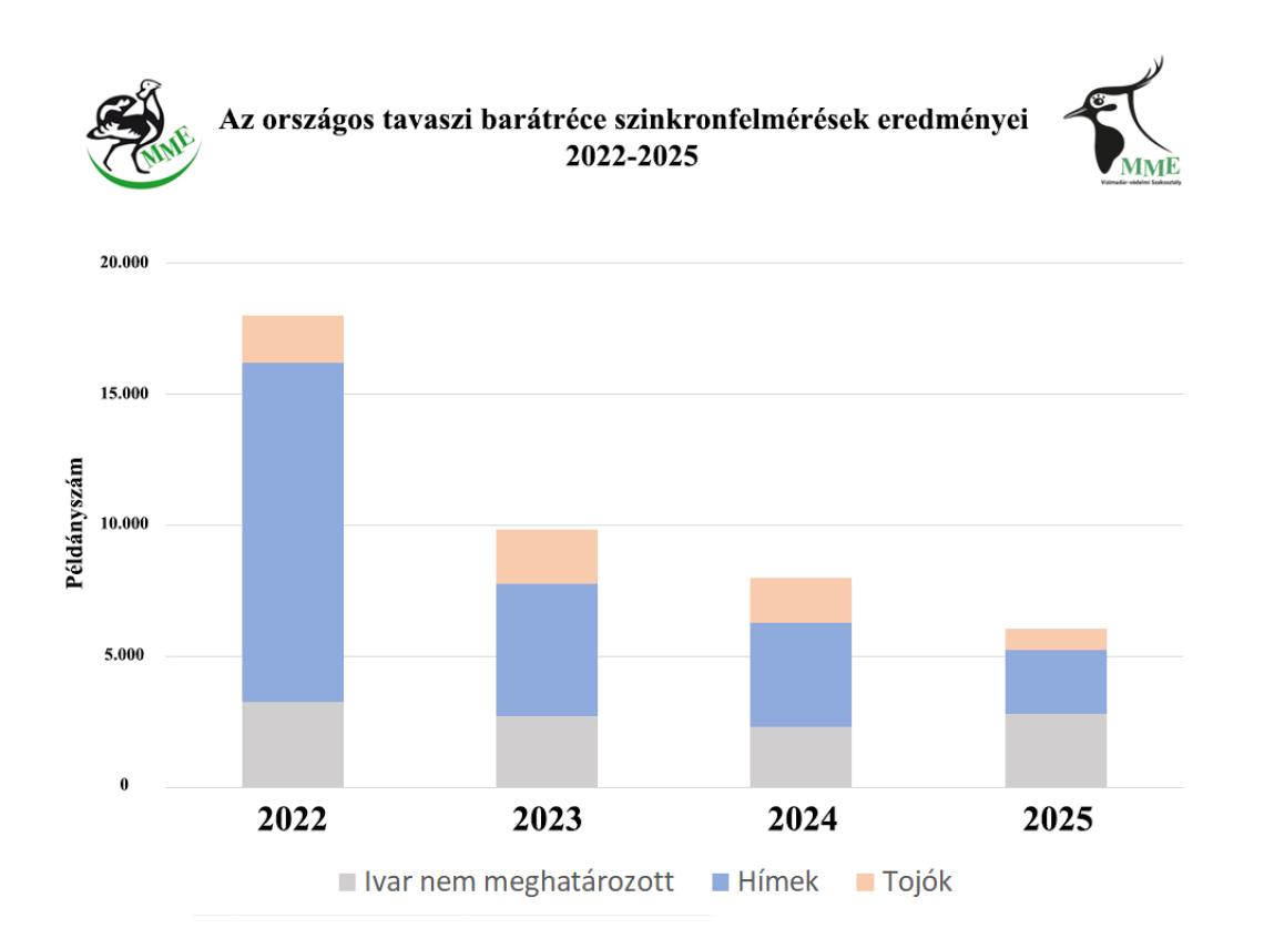 Az országos tavaszi barátréce szinkronfelméréseken megfigyelt példányok száma és az ivarhatározott madarak ivari eloszlása 2022-2025 között.