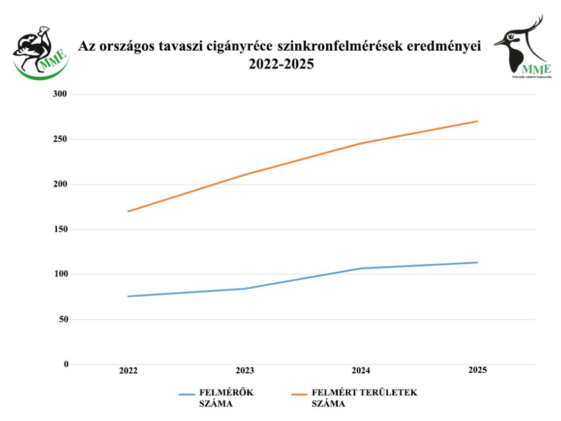 Az országos tavaszi cigányréce szinkronfelmérések eredményei