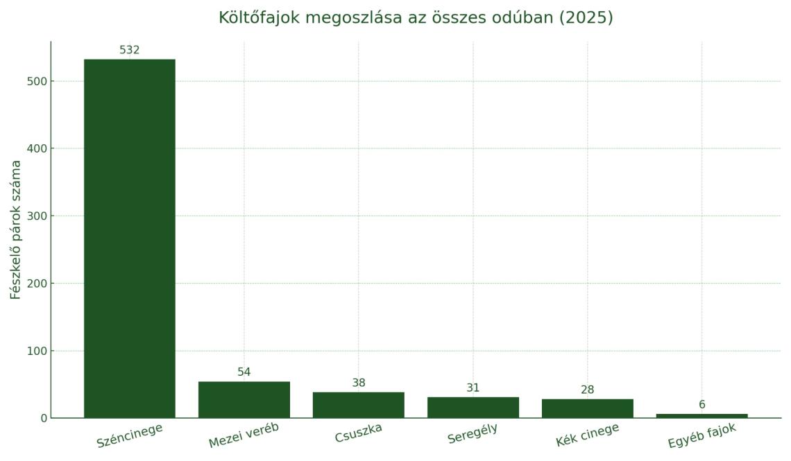 A költőfajok eloszlása a vizsgált odútelepeken (Grafikon: Dékány Orsolya)