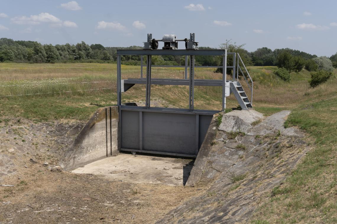 Műtárgy a Homokhátságon 2025 májusában ( Fotó: Tokody Béla)