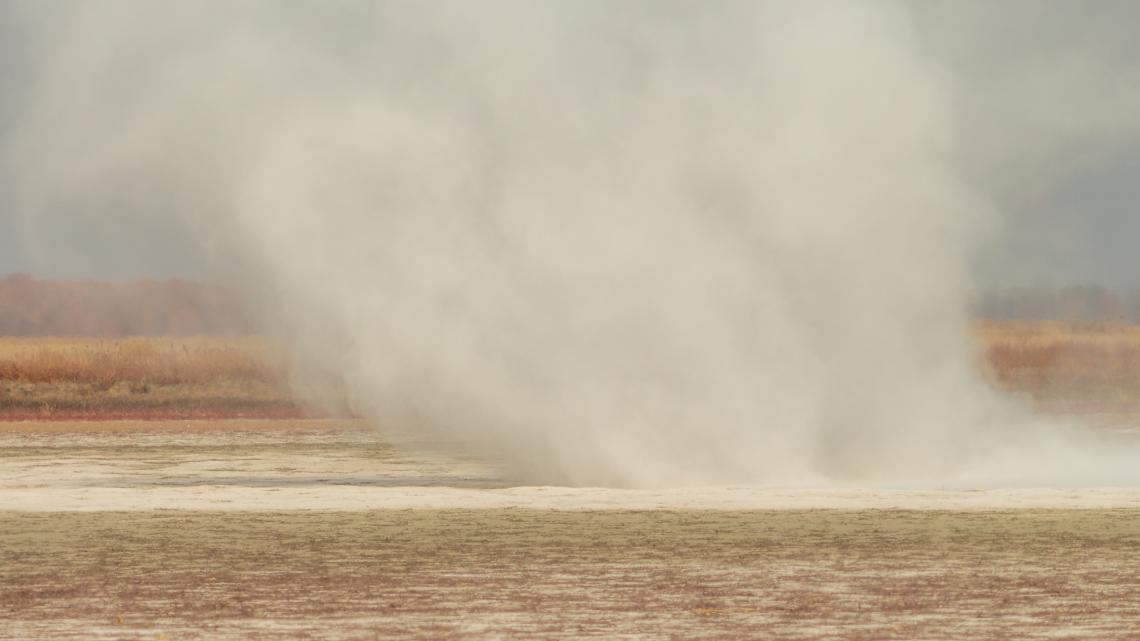 &quot;Porördög&quot; a kardoskúti Fehér-tavon ( Fotó: Tokody Béla)