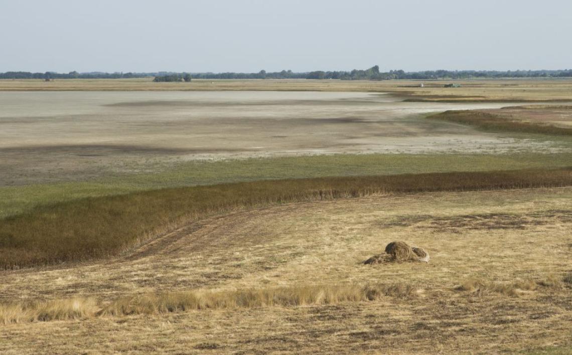 Kiszáradt Büdős szék_Tokody Béla