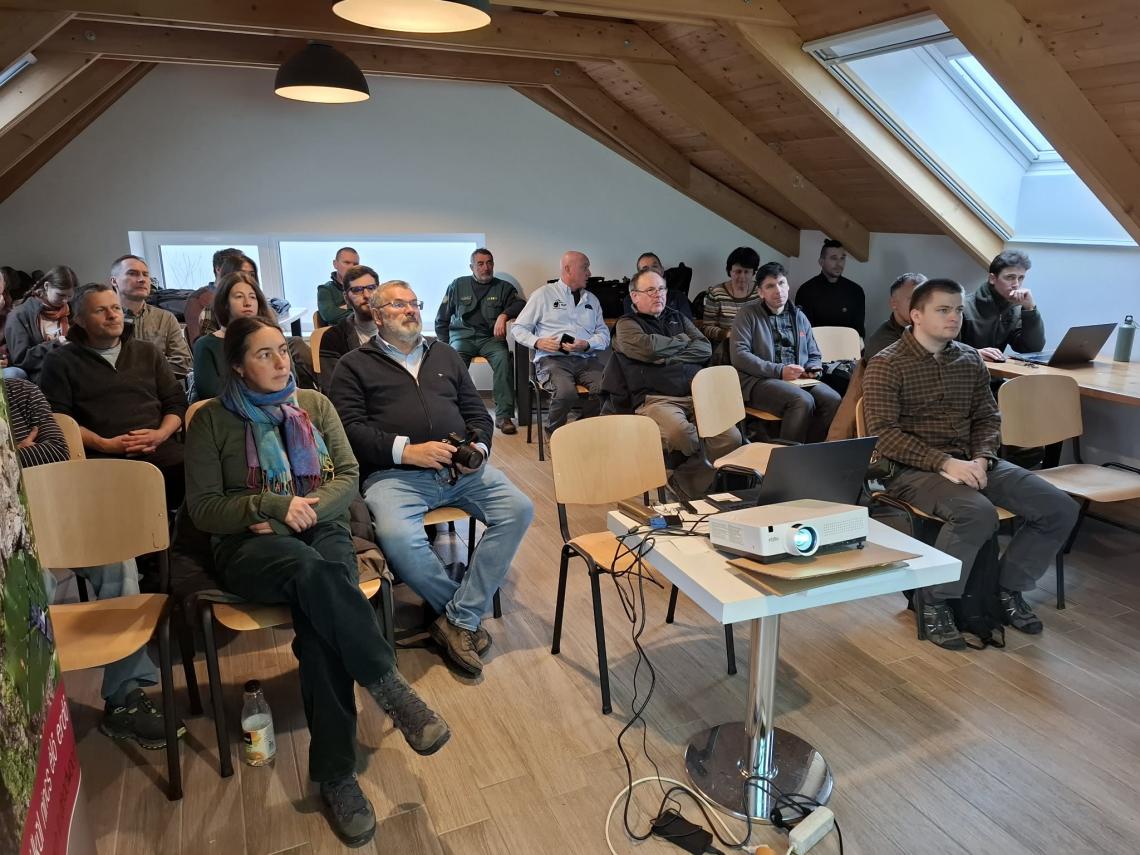 Nyaktekercs konferencia 