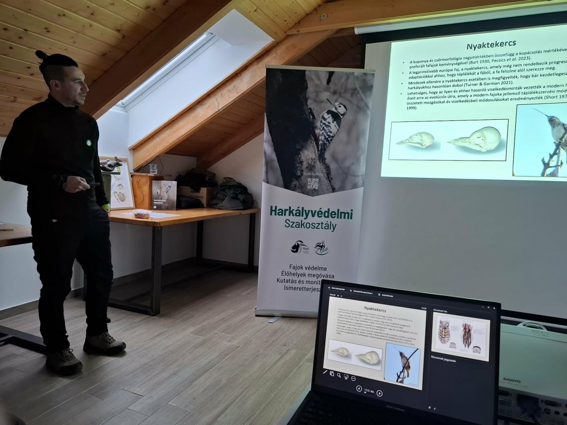 Nyaktekercs konferencia 