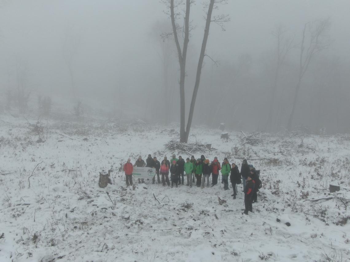 DJI_0447_Turchányi Bálint - Greenpeace.JPG