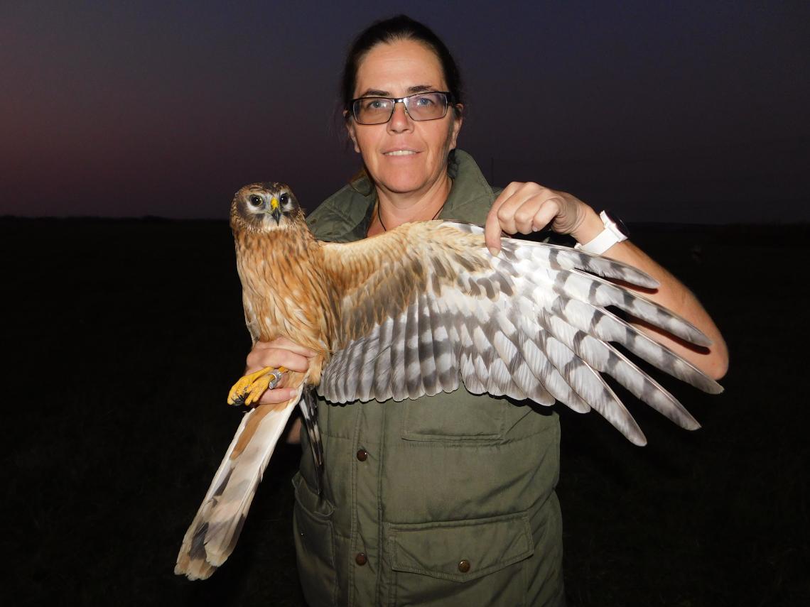 Dr. Tamás Enikő Anna