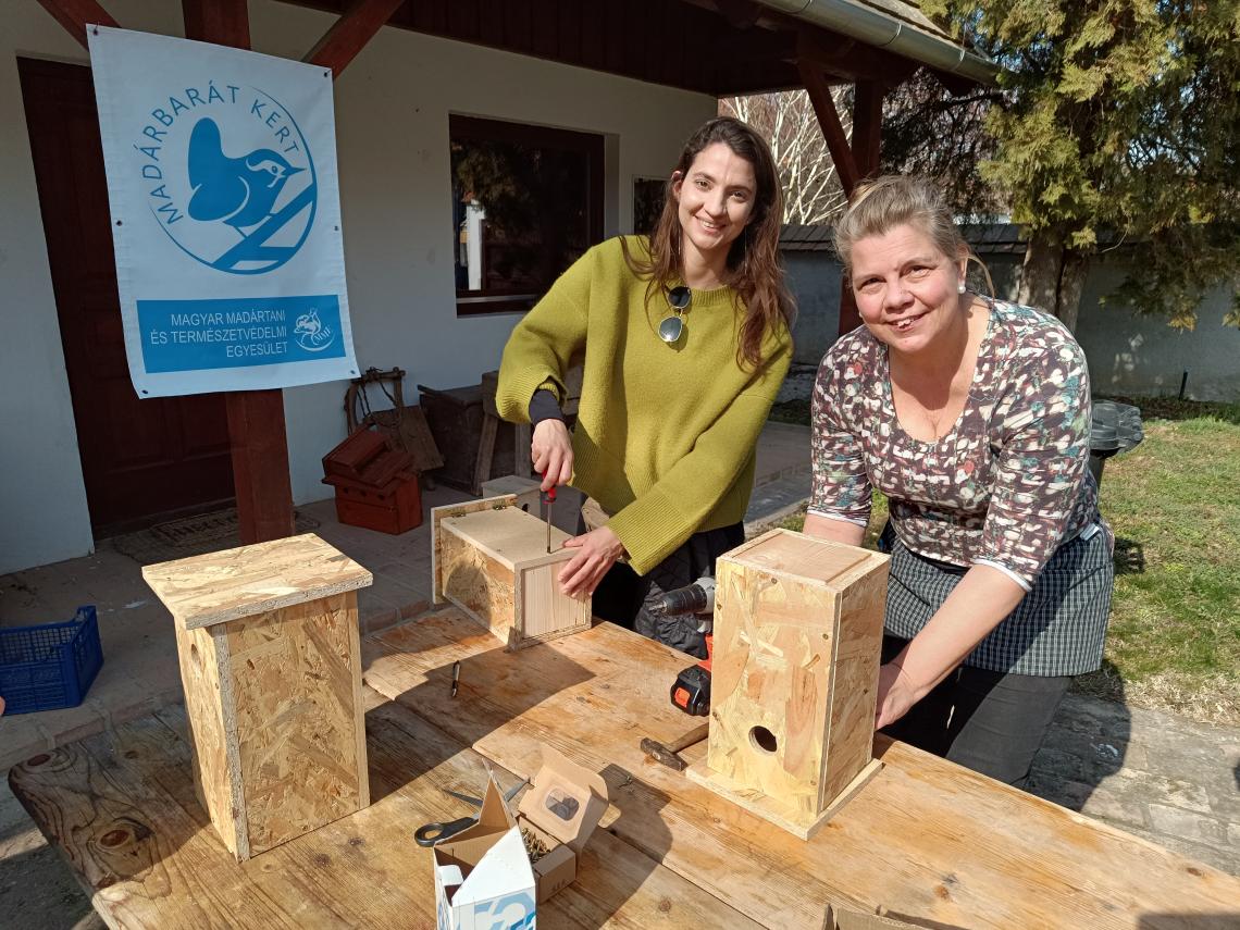 Mesterséges odú készítés Sarródon