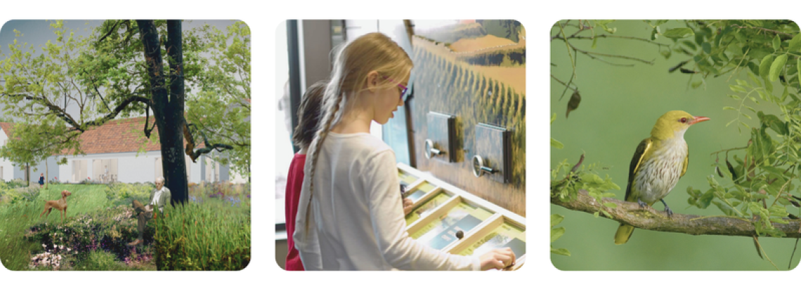 Schmidt Egon központ 