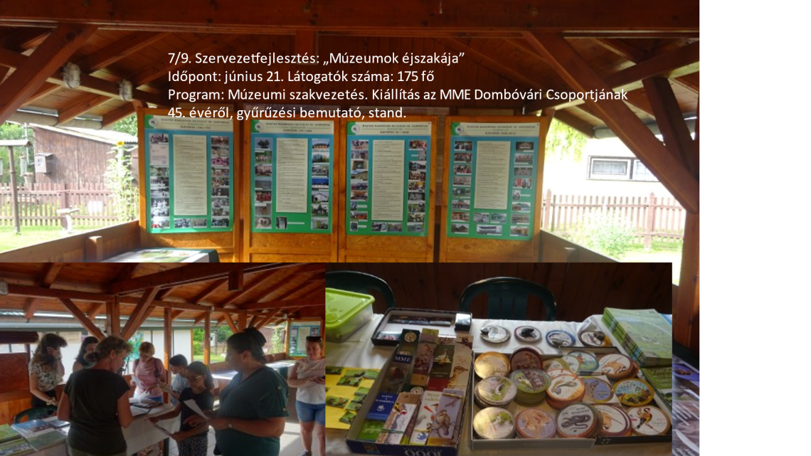 Éves beszámoló kaposvár 2025