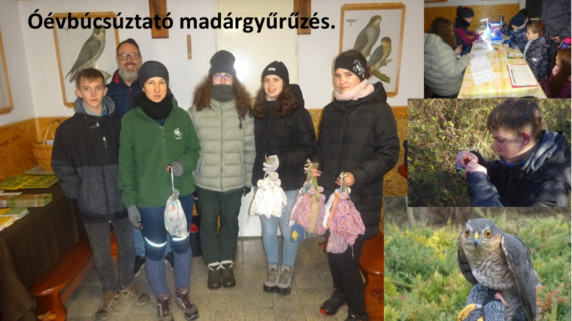 Éves beszámoló Dombóvár 2025