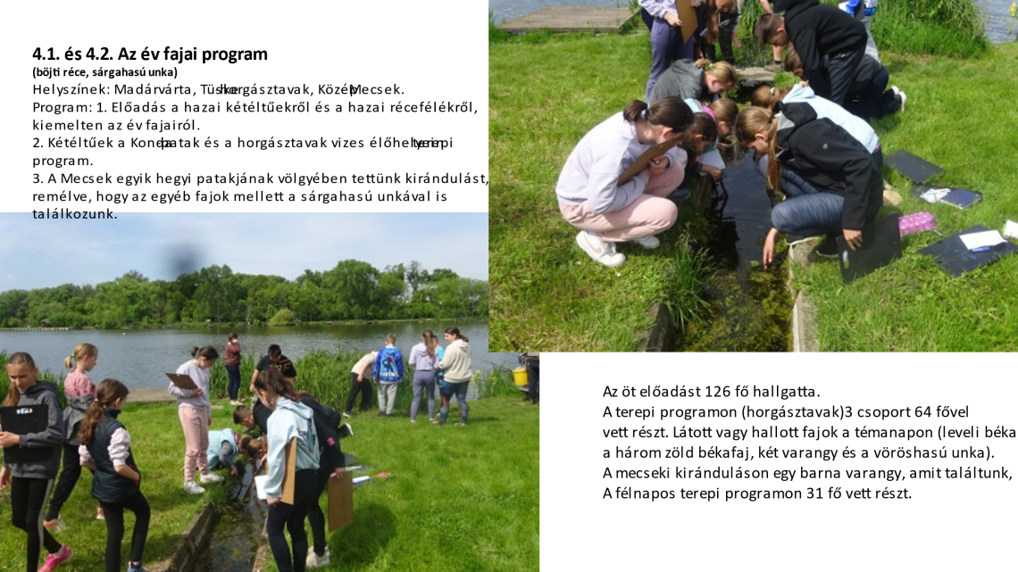 Éves beszámoló Dombóvár 2025