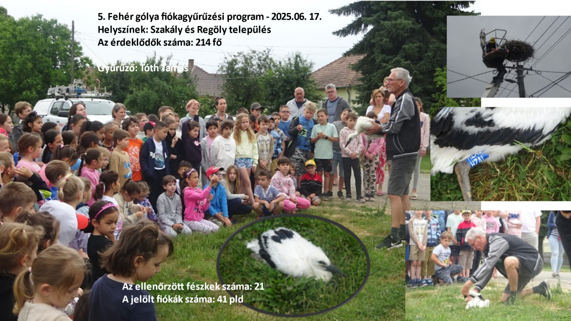 Éves beszámoló Dombóvár 2025