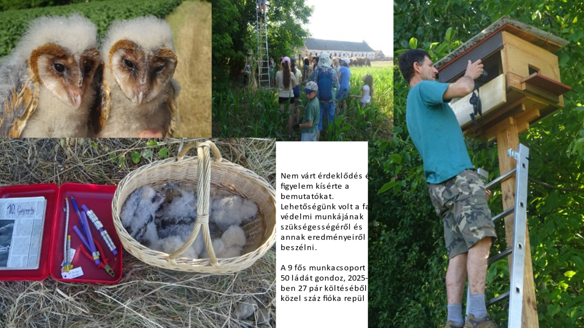 Éves beszámoló Dombóvár 2025