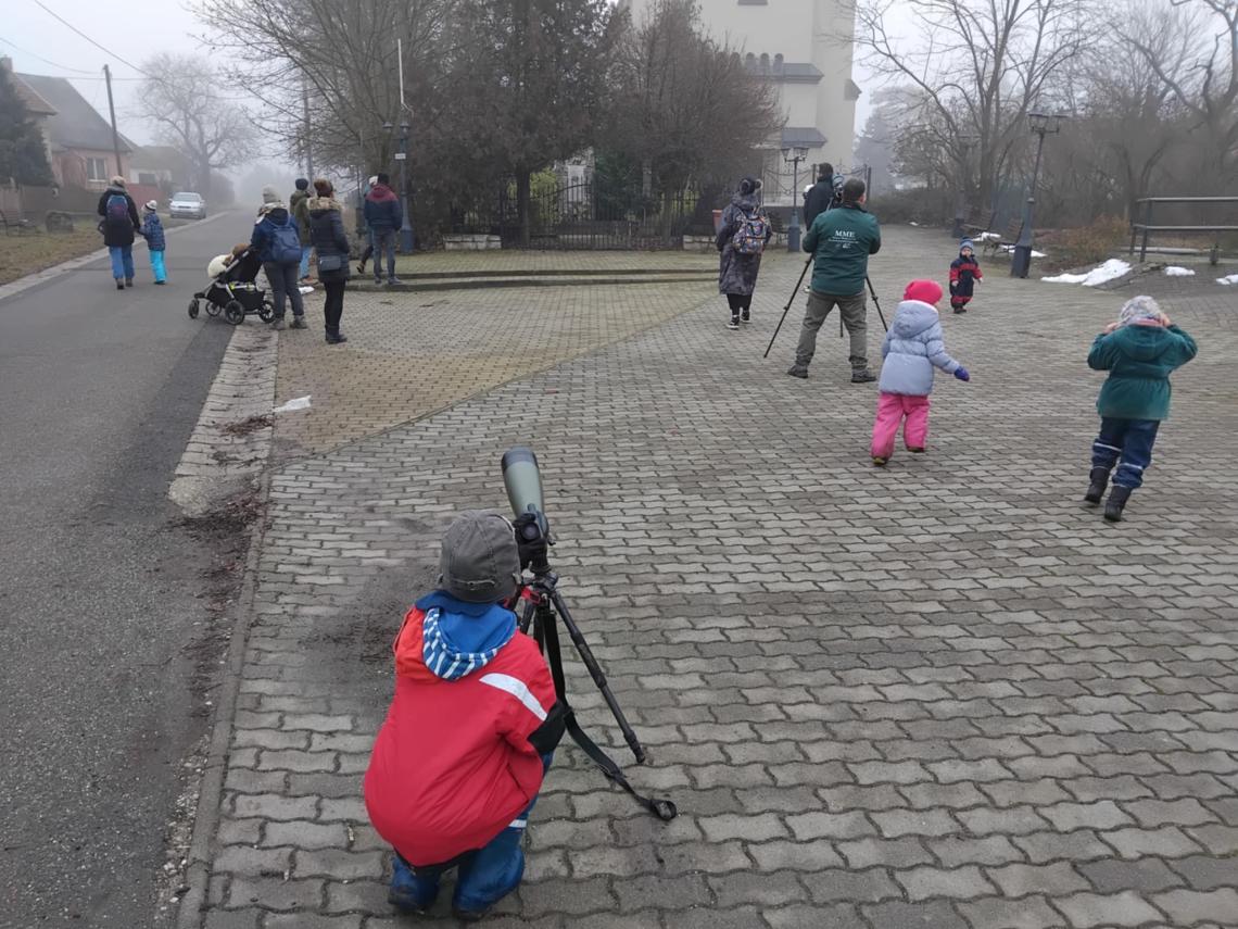Erdei fülesbagoly felmérés Bodrogkisfaludon.