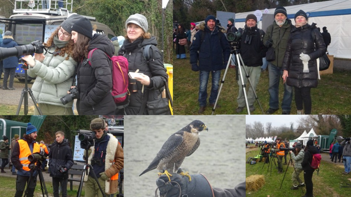 Éves beszámoló Dombóvár 2025