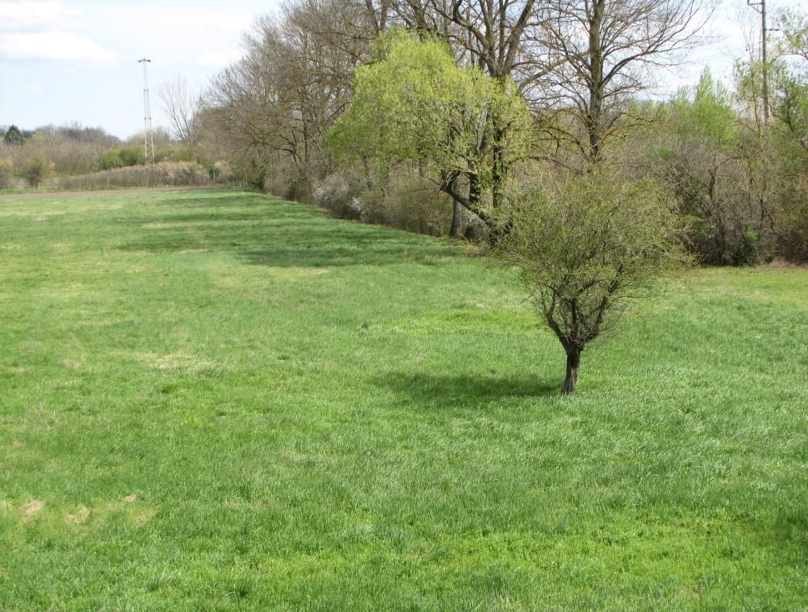 A kezelés és eredménye