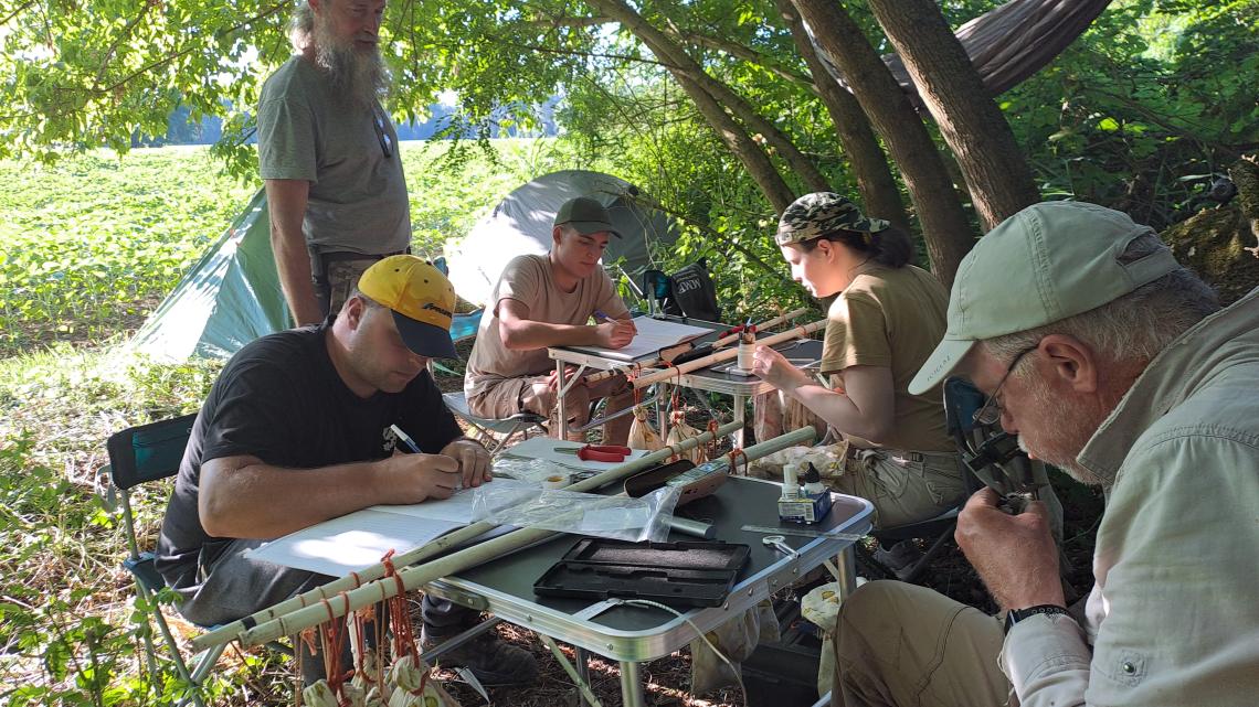 Akcio Riparia gyűrűzés