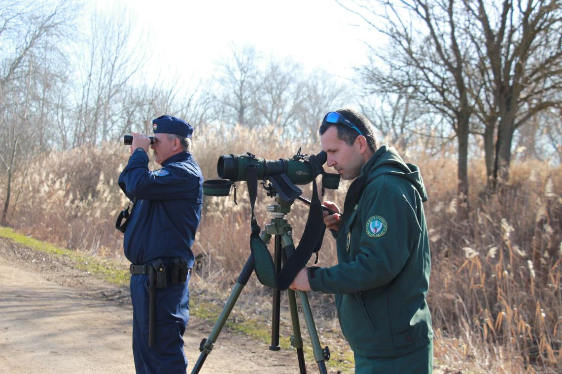 Közös járőrözés (Life SakerRoads)