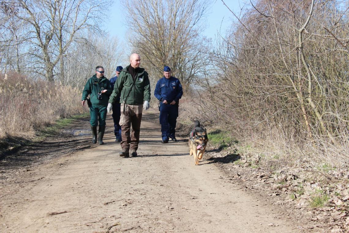 Közös járőrözés (Life SakerRoads)