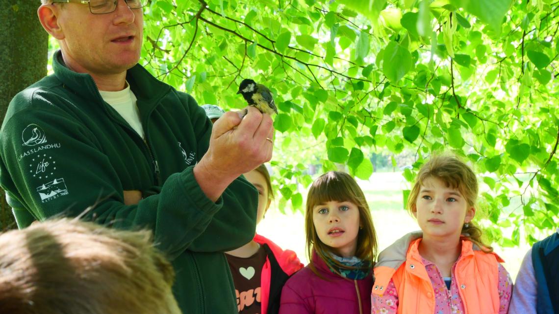 Madarak és Fák Napja, 2025. másjus 9., Gödöllő, Kastélykert.