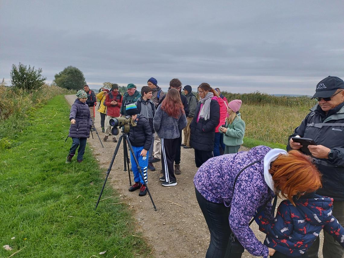 Madármegfigyelő Nap