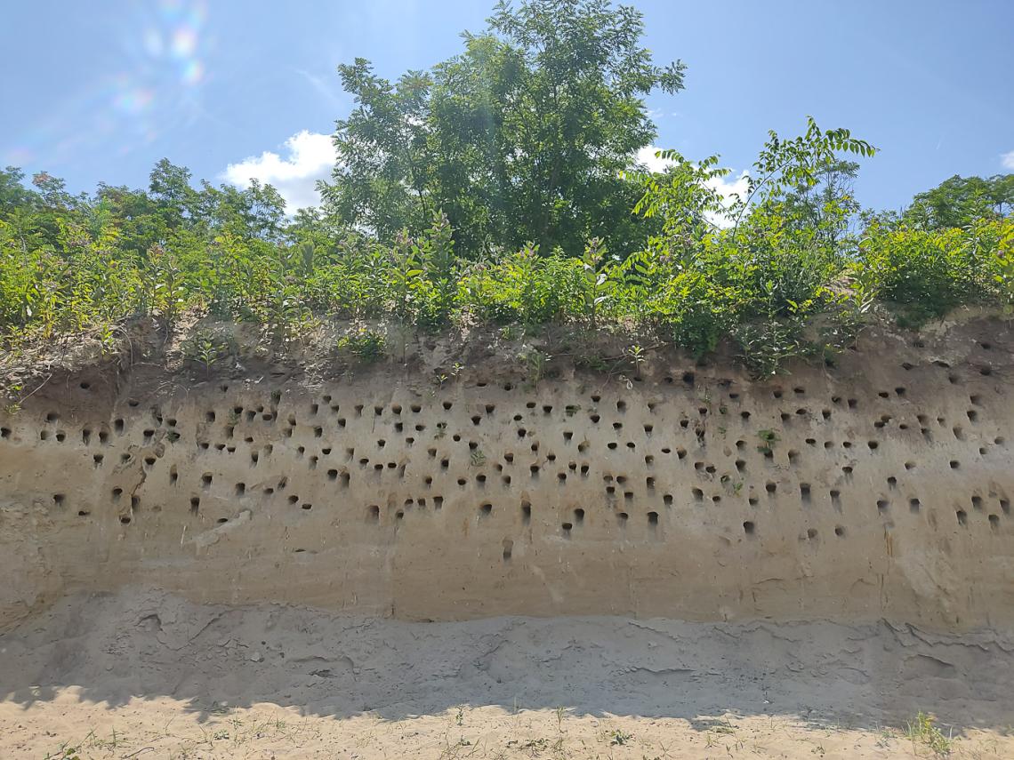 A partfalfelújítás eredménye