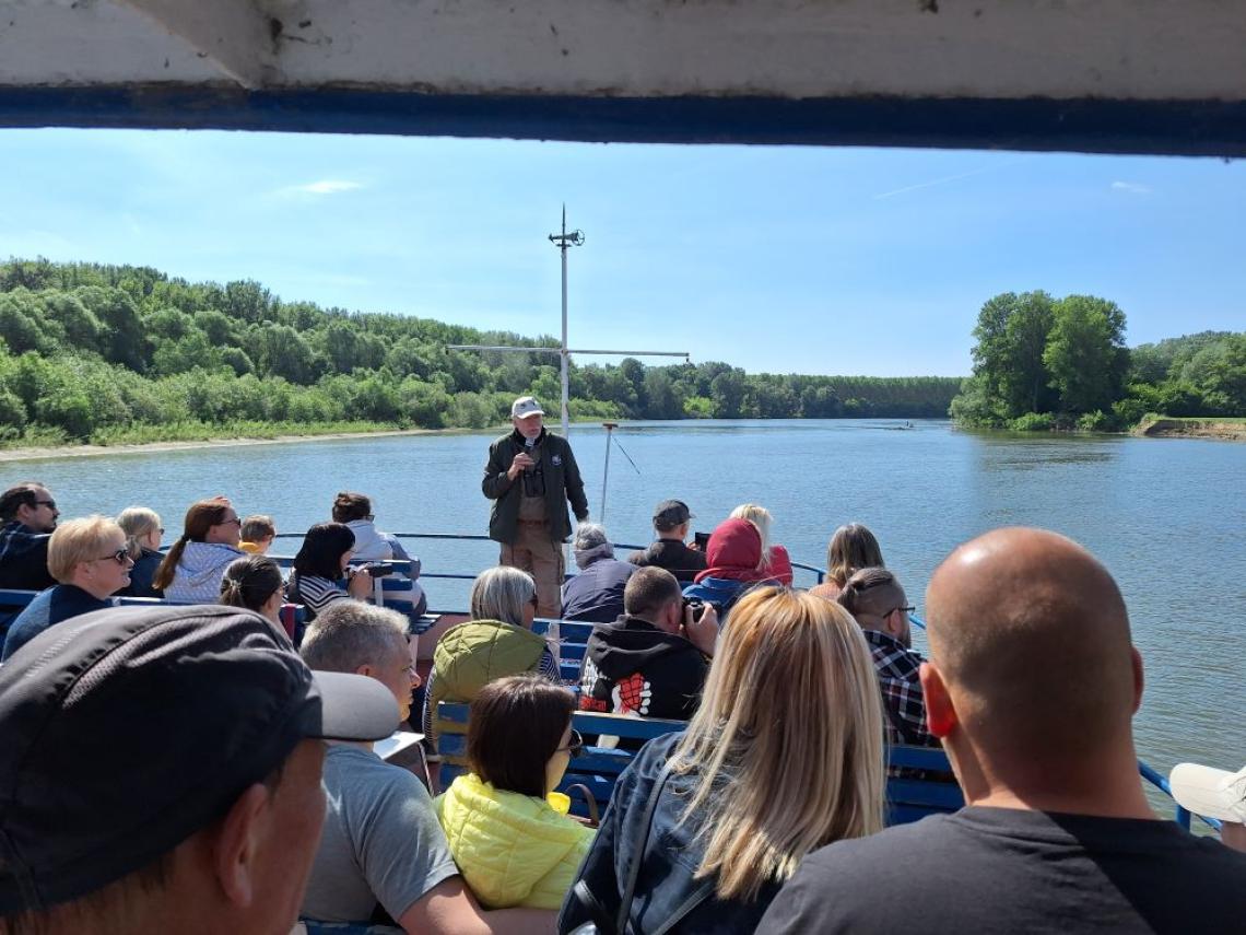 Partifecske hajózás a Tiszán