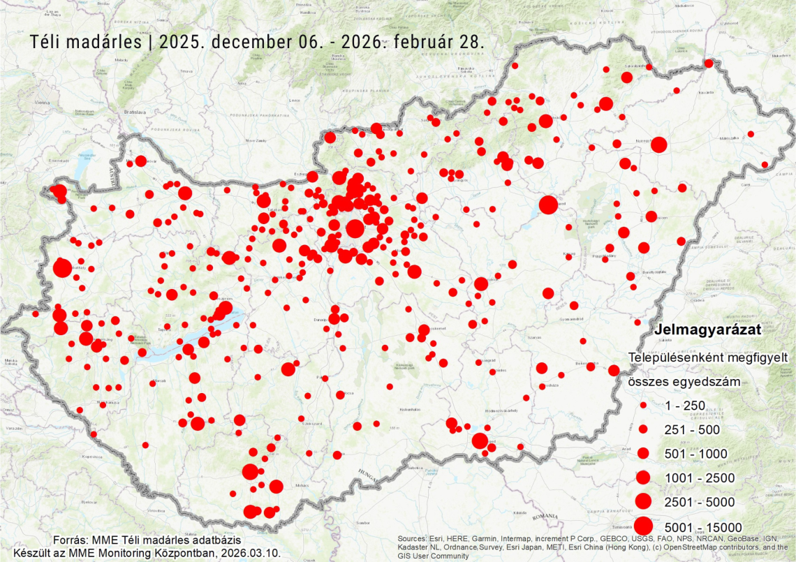 téli madárles 2026