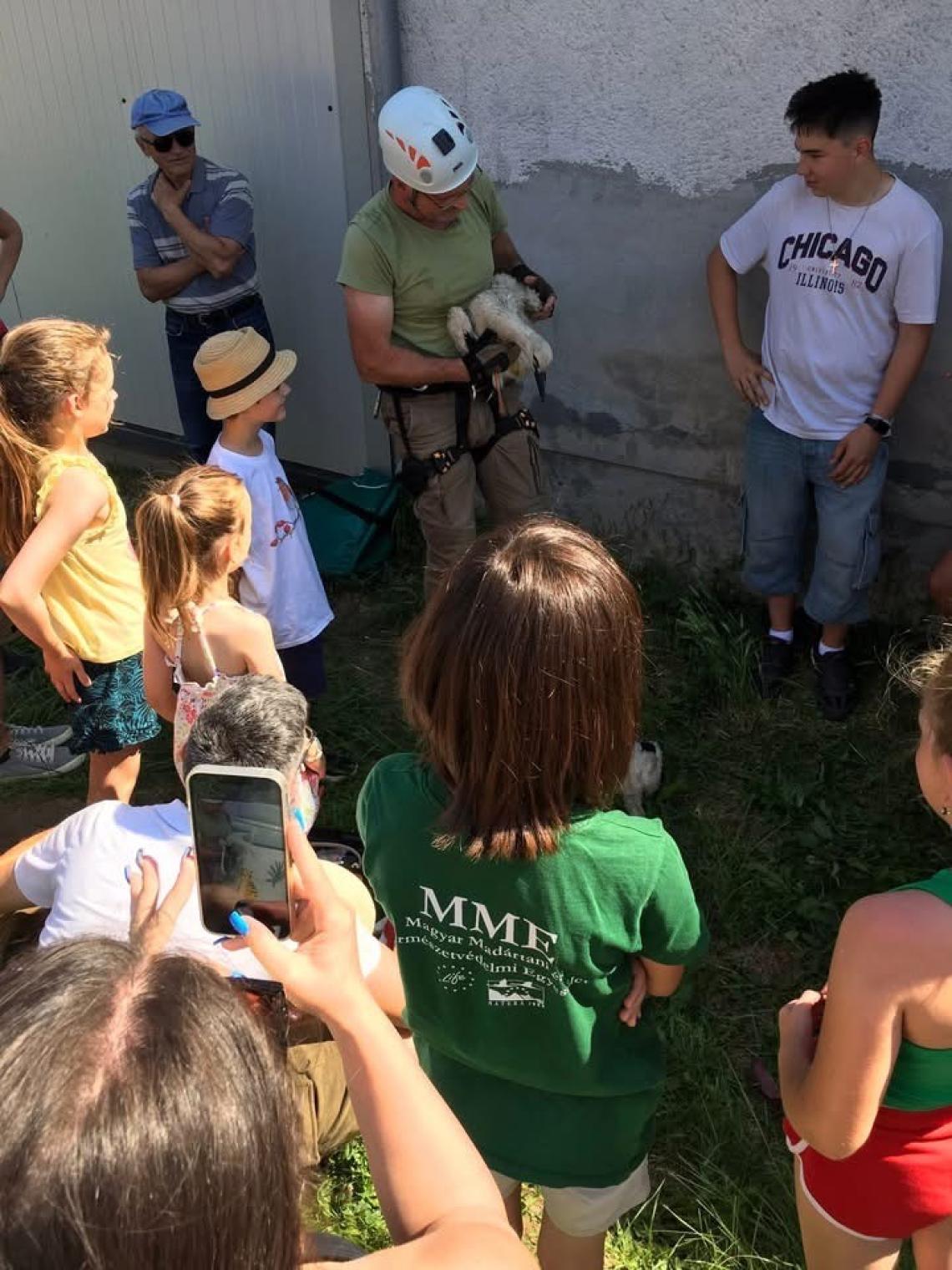 Kaposvári HCS éves beszámoló 2025