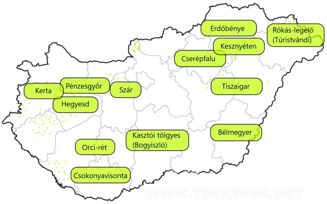 magyarorszag-vakterkep-megyek új.jpg