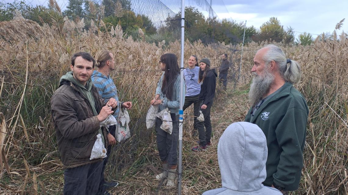 Madarak kiszedése a hálóból