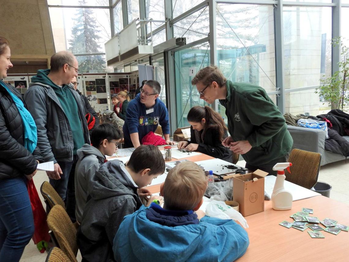 Miskolci Bagolyles 2025