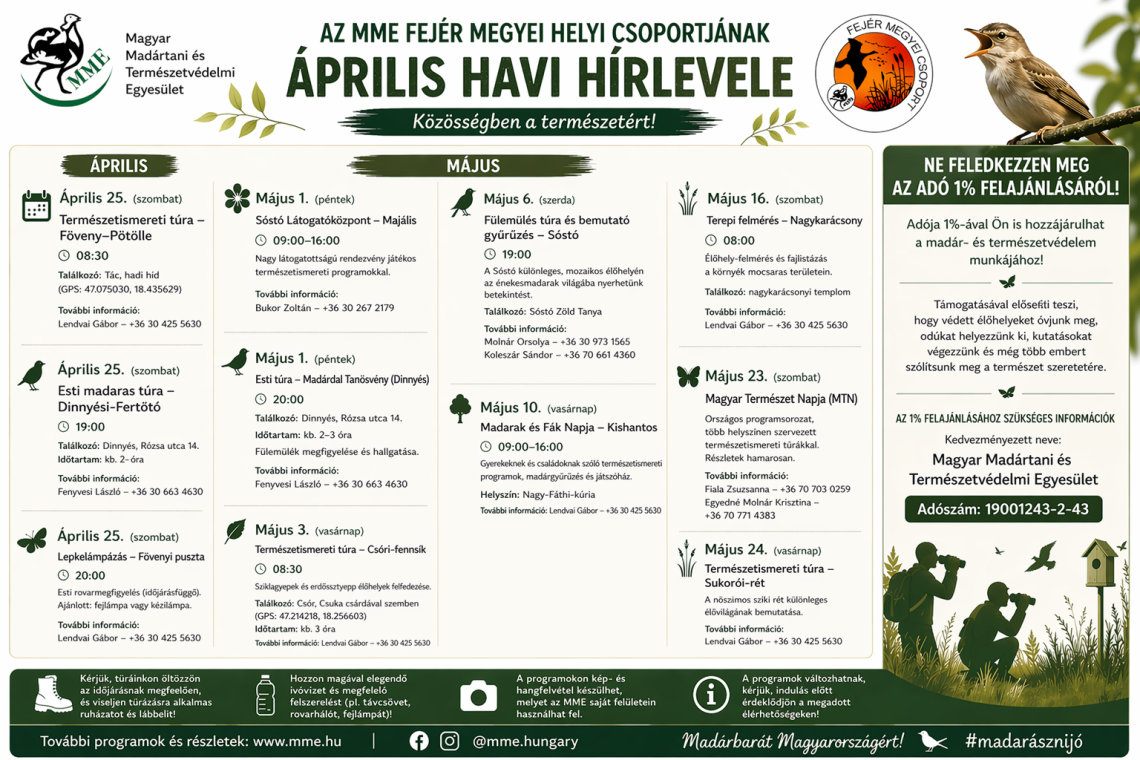 Fejérmegye hírlevél