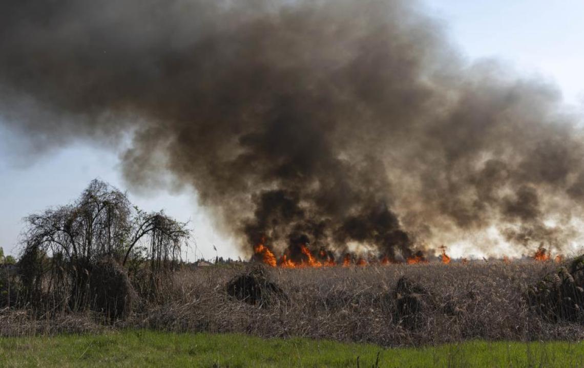 Tűz a védett projek területen (Fotó: Tokody Béla)