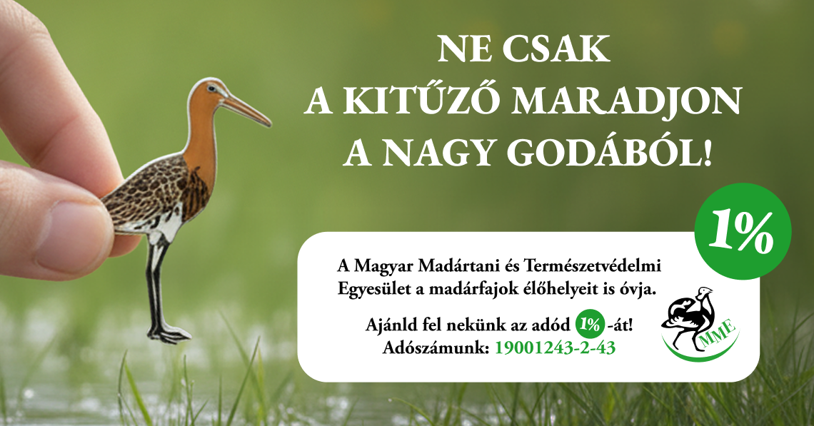 Ne csak a kitűző maradjon belőle! Ajánld fel 1%-od!