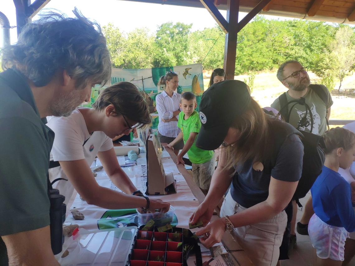 Madaras Nap Tard környékén - Szitta Imola és Szitta Tamás