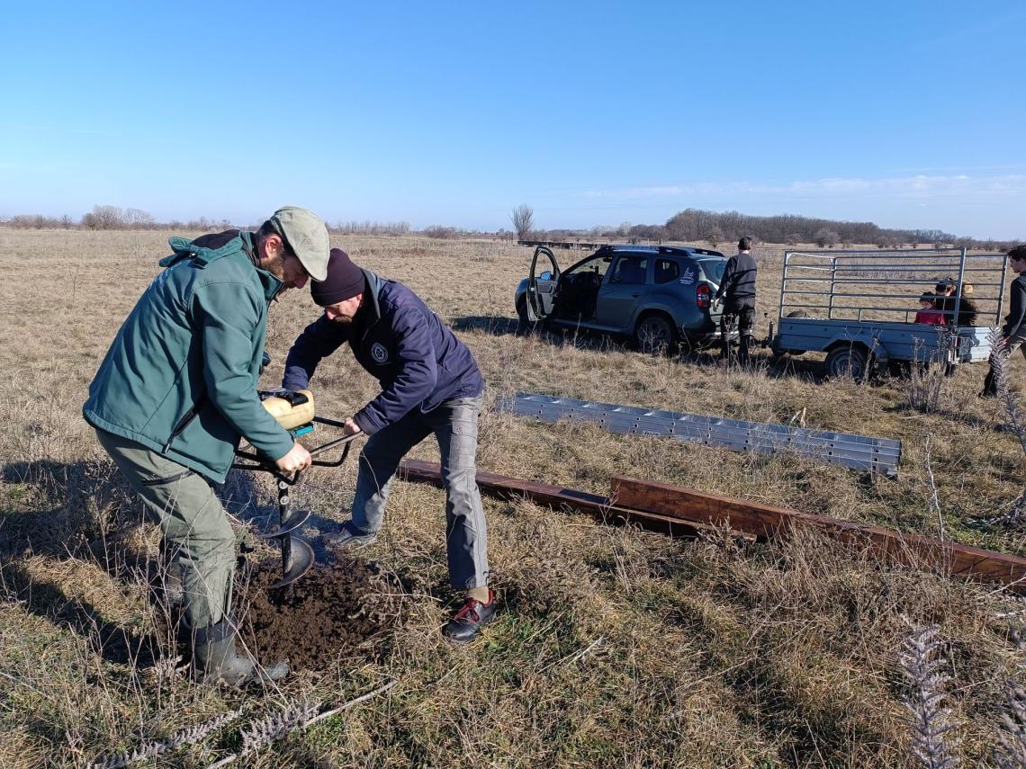 Gyöngybagoly-odú állítása